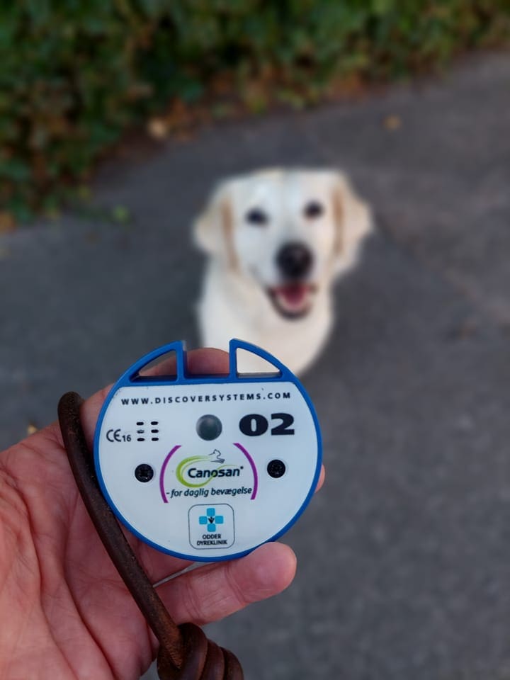 picture of a Veterinarian pager calling system for veterinarians