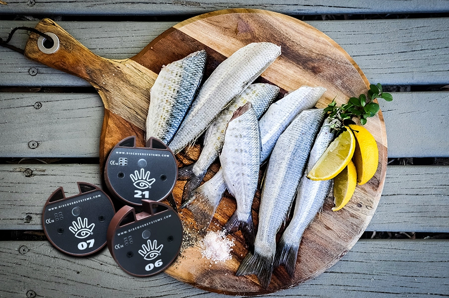 A platter with smoked herring, lemon, and three pagers from Discover Systems