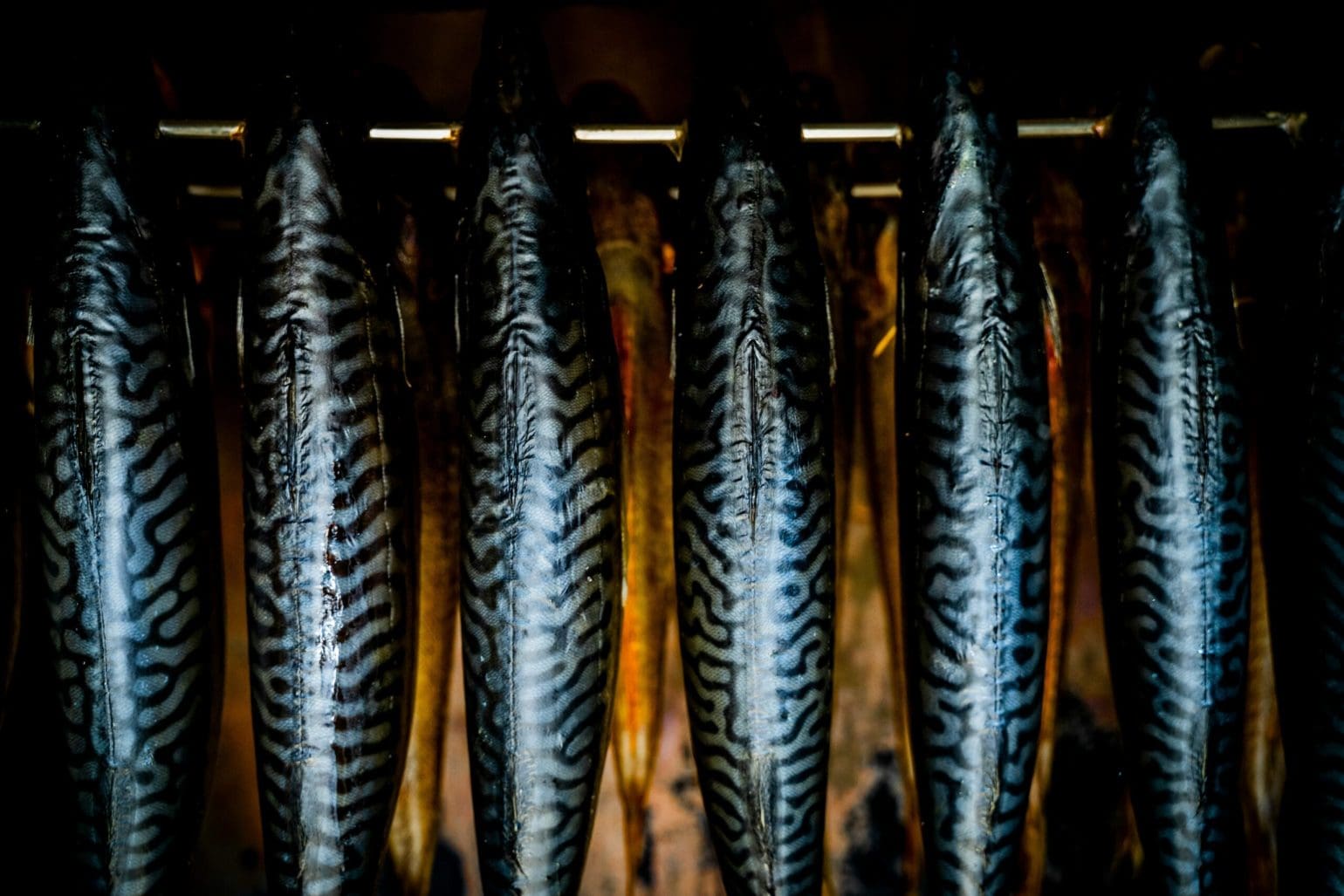 fish hung up to be smoked in a smokehouse on Bornholm,
